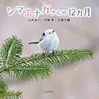 シマエナガ P・シマエナガ(WH) | Zippoオンラインショップ